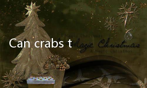 【Top Online Blackjack Sites India】Can crabs that spit bubbles still be eaten?