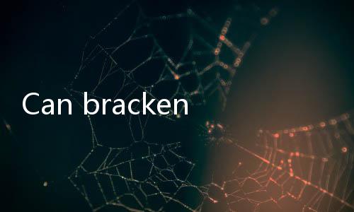 【Best Casino Free Spins Offers India】Can bracken be eaten after being soaked for two days?